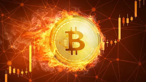 بیت کوین در ایران به بررسی گذاشته می‌شود