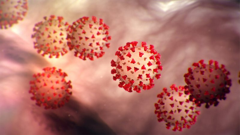 Coronavirus-1-1030x580.jpg