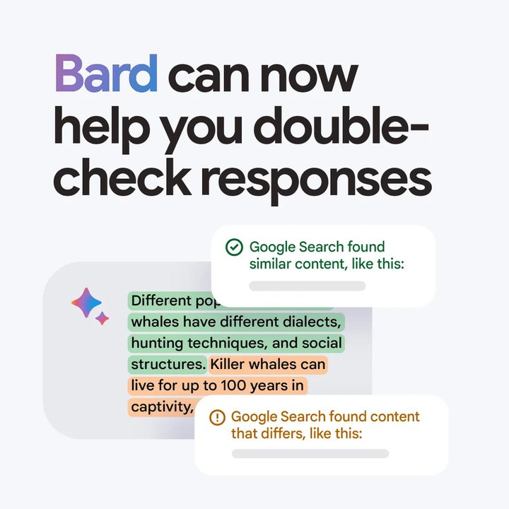 Double-check_responses_1.width-1000.format-webp.jpg