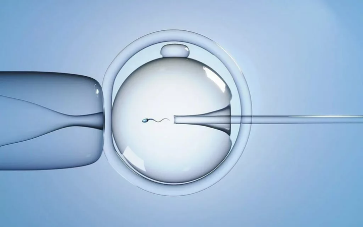IVF-1024x640.jpg