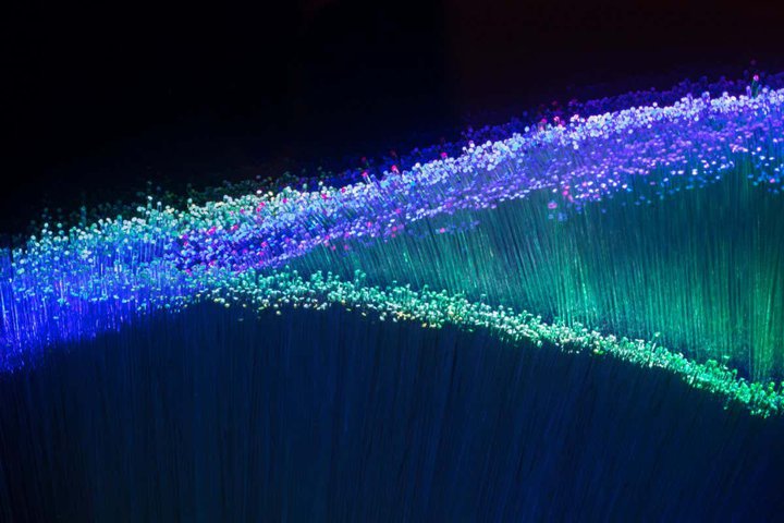 SEI_116401470.jpg