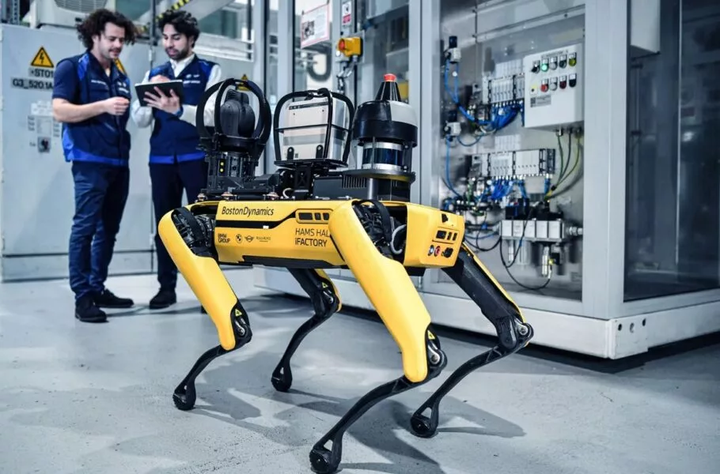 robotic dog