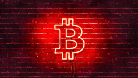 وضعیت قرمز در بازار رمزارزها: قیمت بیت کوین، کمتر از ۳۰ هزار دلار