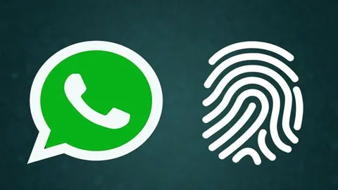واتساپ تایید چهره یا اثر انگشت را برای اتصال دستگاه جدید اجباری می‌کند