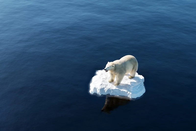 climate-change