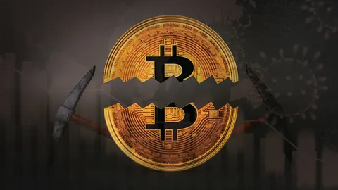 شمارش معکوس؛ کمتر از 12 ساعت تا هاوینگ بیت کوین