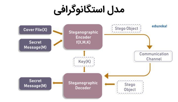 مدل استگانوگرافی.jpg