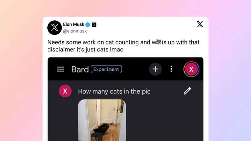 musk-bard