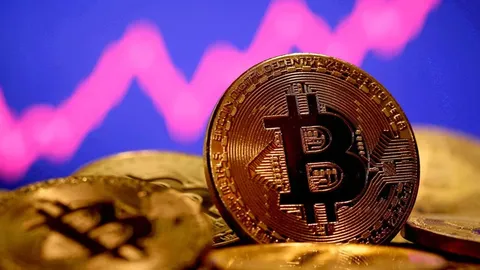 قیمت بیت کوین از 30 هزار دلار بالاتر رفت