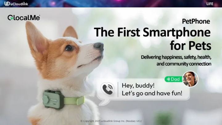 petphone-67c6eab56e0383ae3818e00d