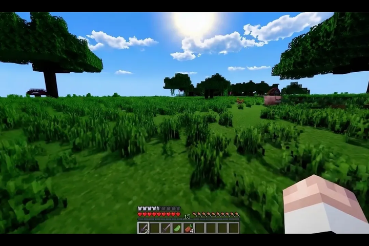 sora-rendered-game-like-minecraft.webp