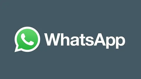 واتساپ باگ افشای 300 هزار شماره تلفن کاربران در نتایج گوگل را برطرف کرد